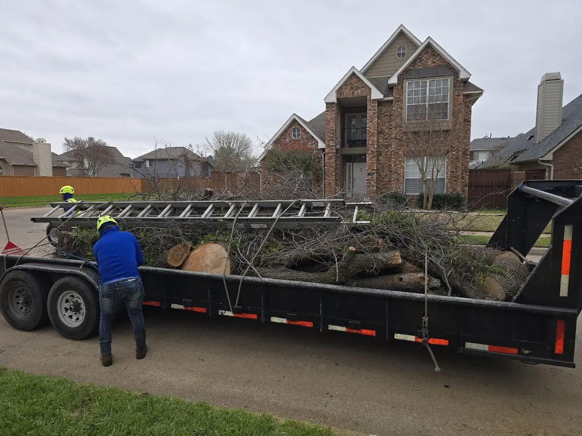 Expert Tree Pest Control with proper safety equipment in Newport Beach